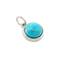 12 Pack: Round Turquoise Dyed Howlite Charm by Bead Landing™